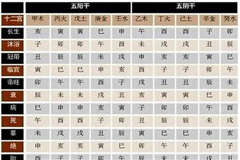 八字 主星 副星|八字主副星辨析：主星与副星关键解析